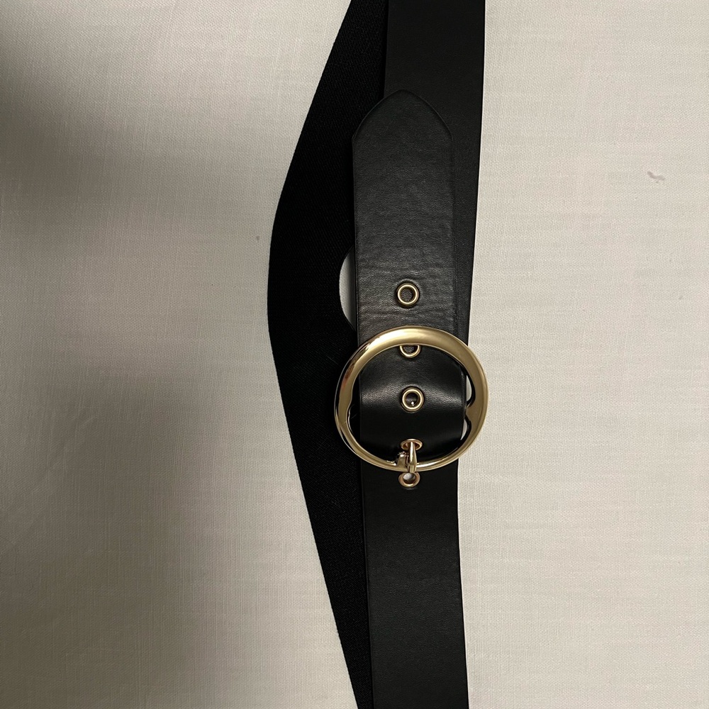 Elegant Black Belt with Gold Buckle